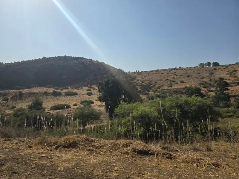 נחל תבור – מבט על הנחל