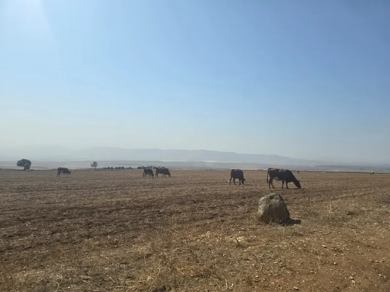 שביל נחל יששכר